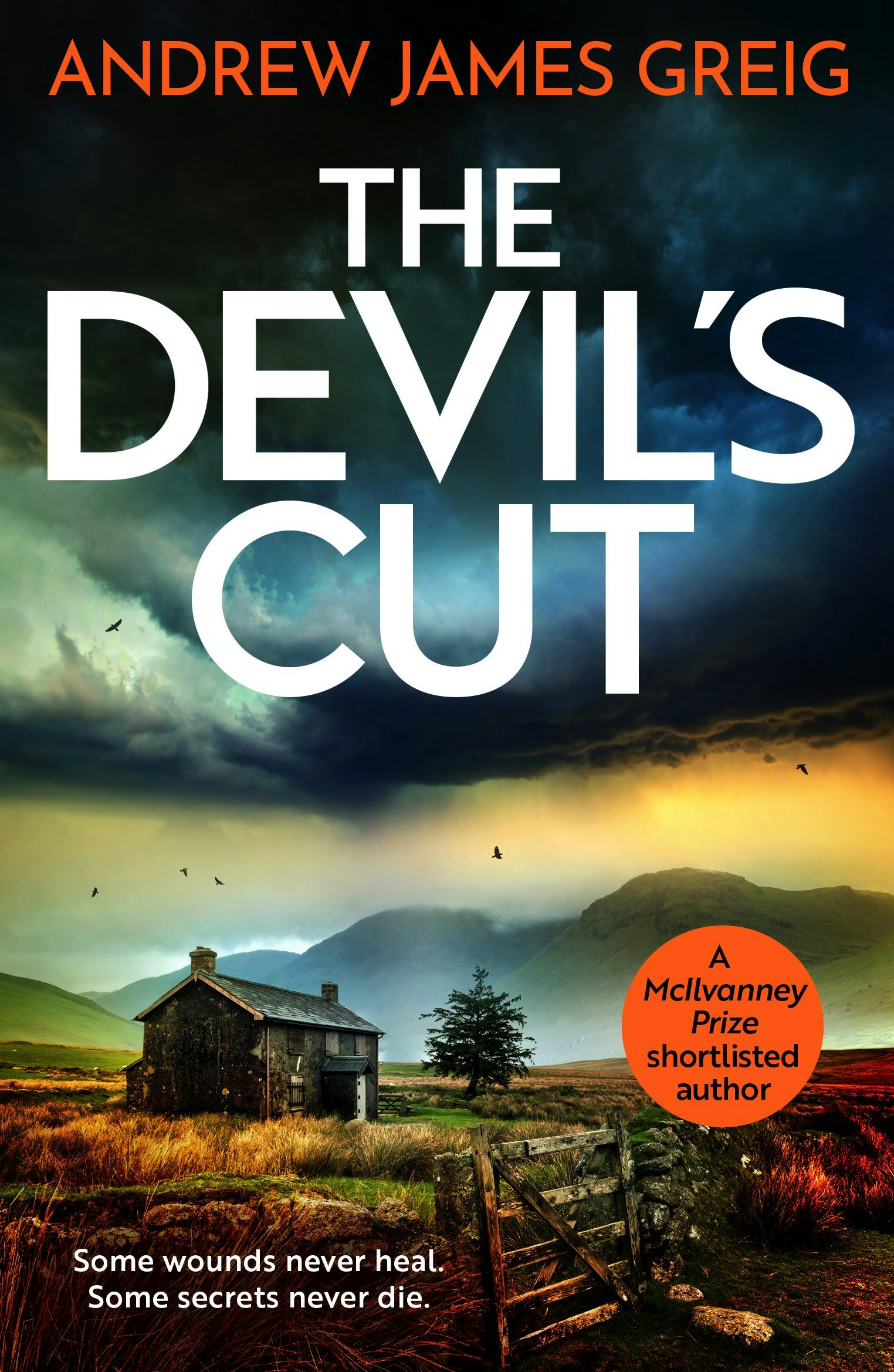 Book cover image for The Devil's Cut ISBN: 9781805089872